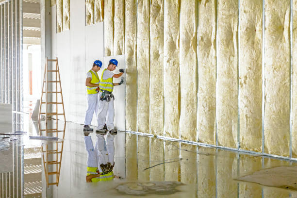 Best Geographic-Specific Insulation Services in New Fairview, TX
